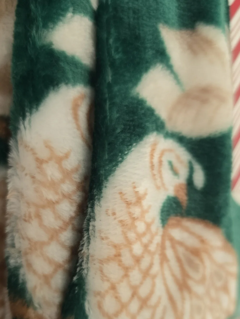 NORTH POLE GREEN AND WHITE VELVET PLUSH THROW
